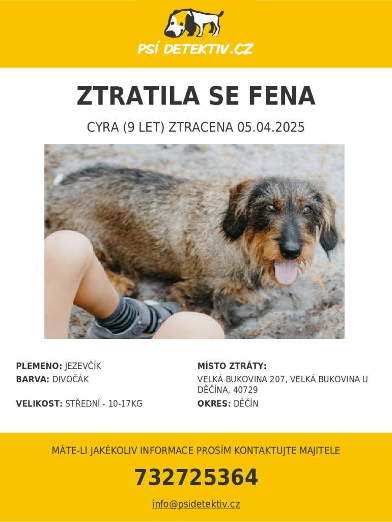 Žádáme o pomoc,  kdybyste někdo zahlédl fenku jezevčíka, barva divočák, slyší na jméno Cyra, oznamte prosím na obecním úřadě nebo přímo majiteli na tel. 732 725 364