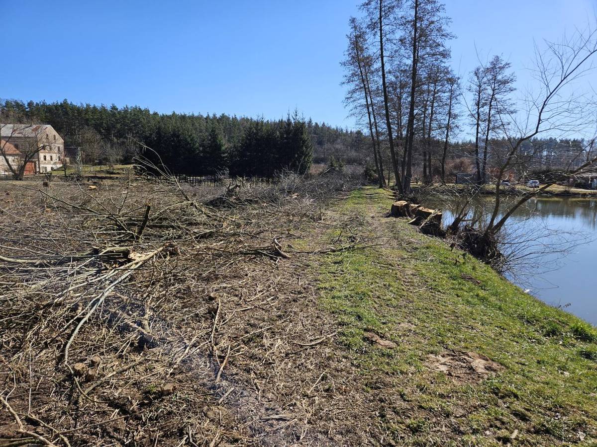 - výstavba nového rybníka v Senomatech