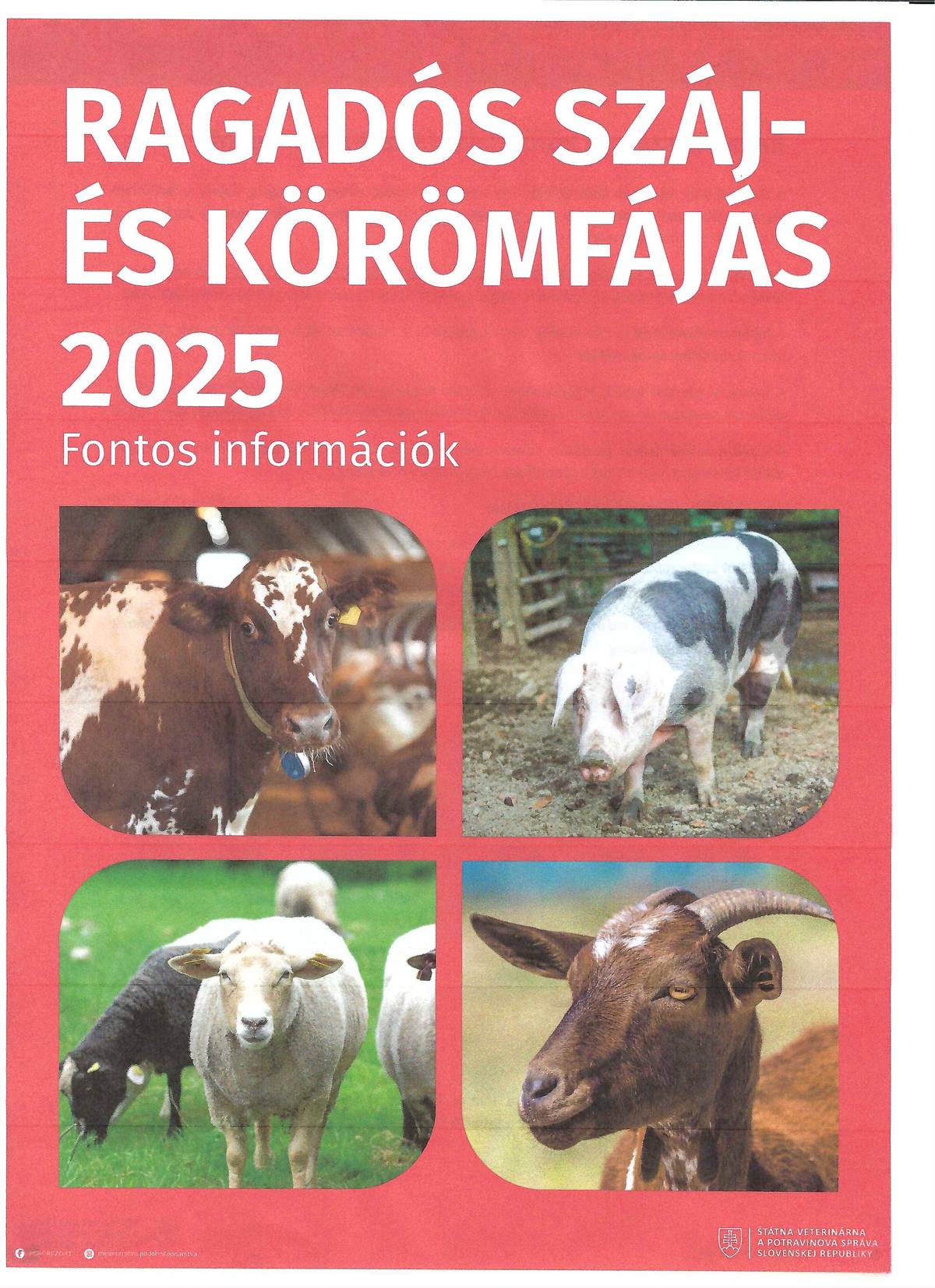 Fontos információk