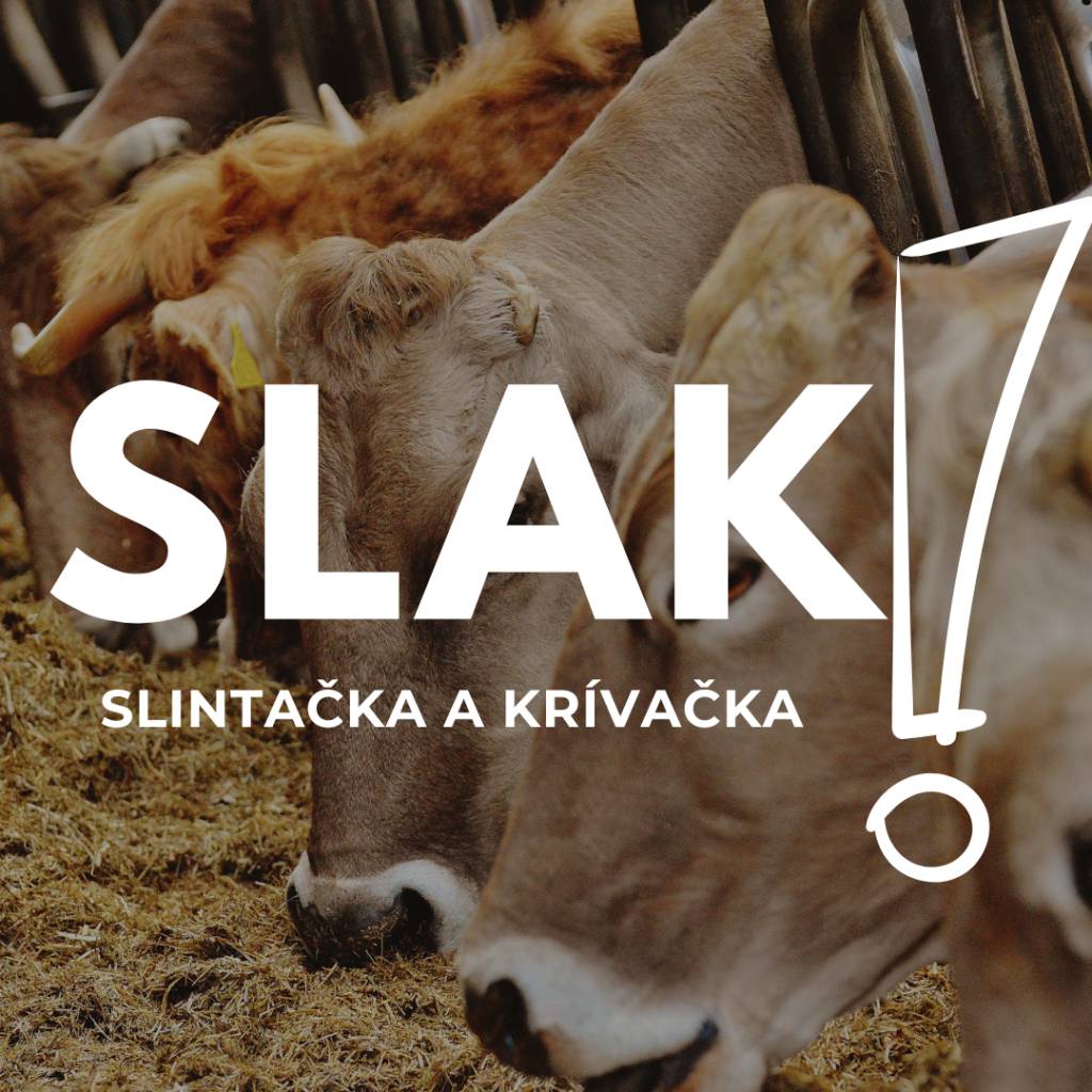 Štátna veterinárna a potravinová správa Slovenskej republiky vyzýva všetkých chovateľov, držiteľov, vlastníkov hospodárskych zvierat bezodkladne registrovať chov zvierat najneskôr do 9.4.2025 do Centrálneho registra hospodárskych zvierat.