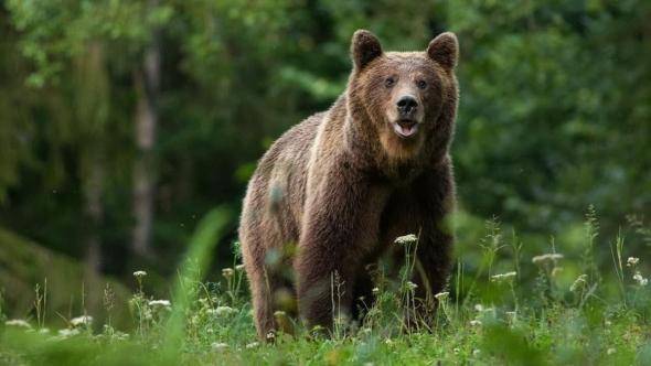 Vyhlásenie mimoriadnej situácie