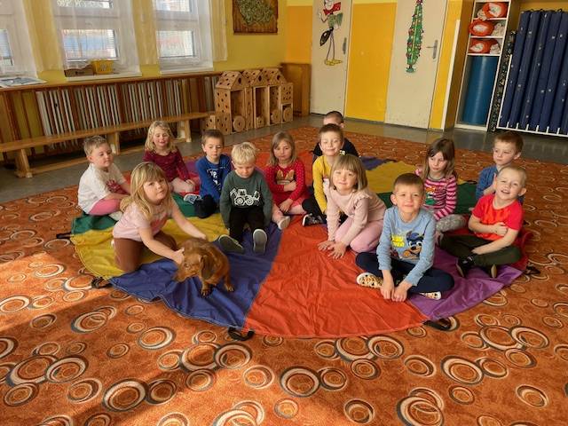 pejsci, kočky, papoušci, hadi, králíčci,....