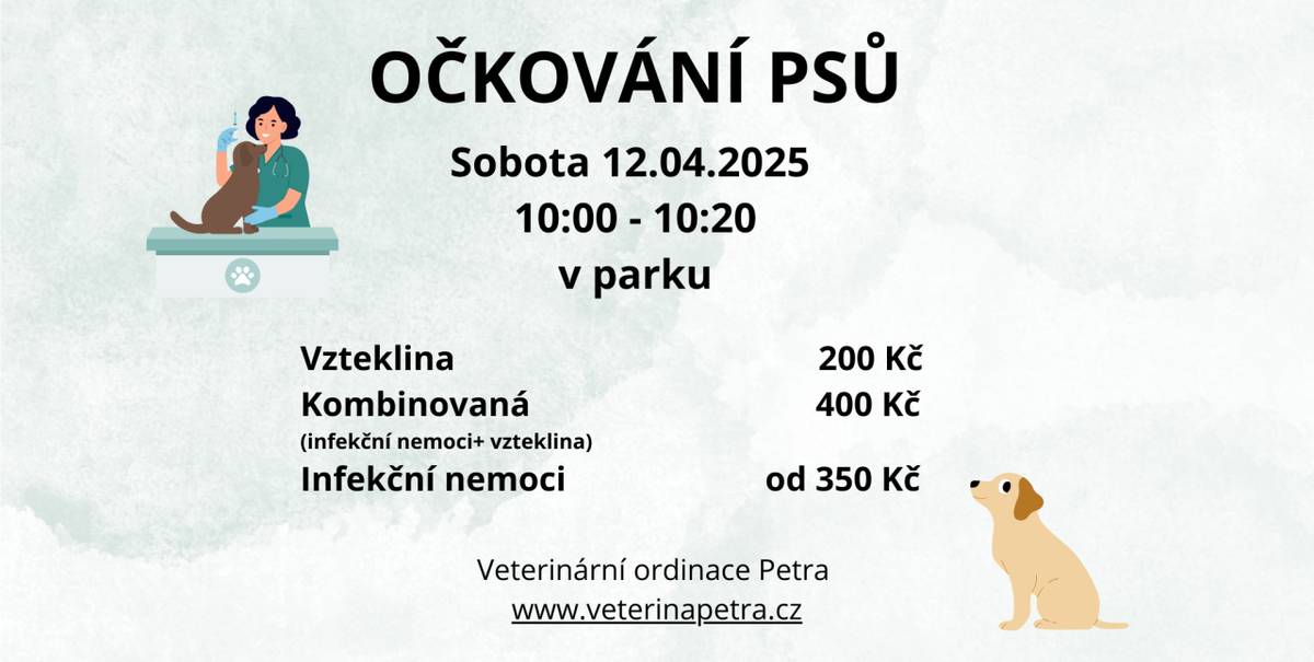 Od 10:00 do 10:20 v parku.
