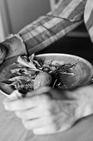 Úryvek z knihy J. Geoffroye „Au temps des Crématoires“ pojednávající o tísnivém strádání francouzských vězňů, které sužoval v táboře neustálý hlad: „Ve smetí jsme hledali zbytky zeleniny, košťály ze zelí, a zejména slupky z brambor, kterých se Němcům a Polákům dostávalo do sytosti a vůbec nemysleli na to, jak je úsporně škrabat. Dělali jsme polévky z kopřiv a servírovali jsme velké talíře s pampeliškami, které jsme nijak nedochucovali a které nás zachránily od věčného hladu.“.
Na snímku: Ilustrační fotografie