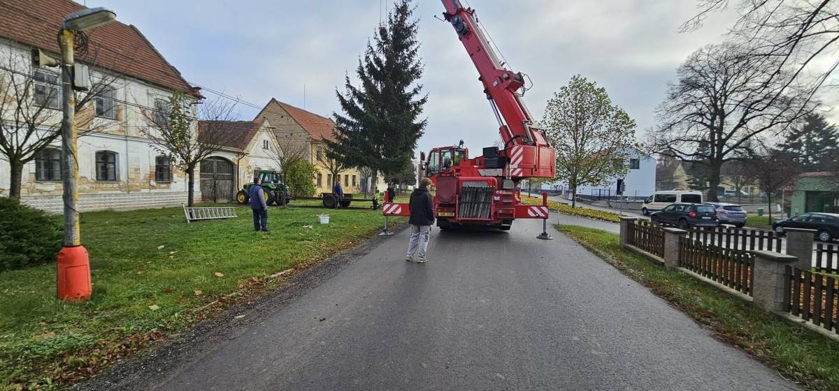 Poděkování patří Václavu a Elišce Kafků za poskytnutí letošního vánočního stromu.