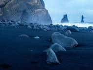 Zahrála si i v seriálu Hra o trůny.