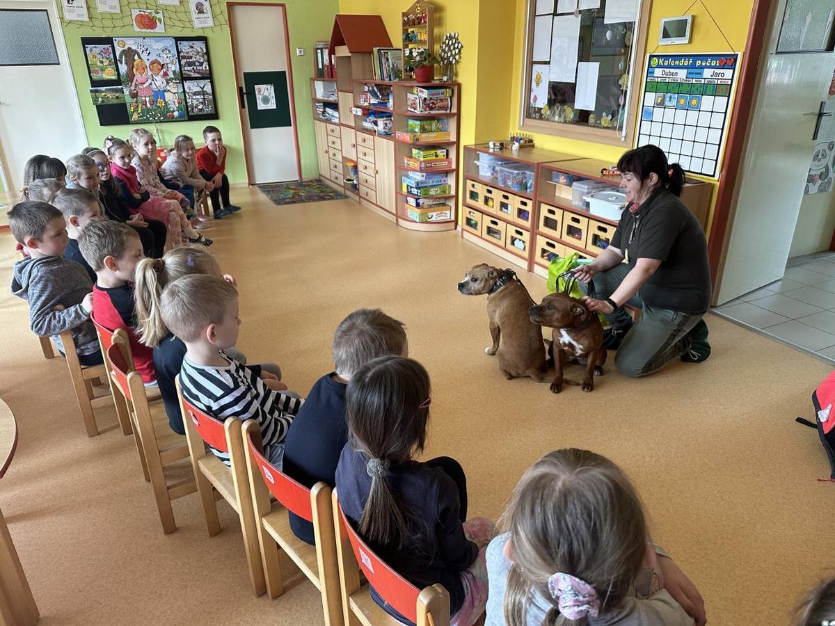 Canisterapií je myšlena podpůrná terapie pomocí psů, která se využívá pro zlepšení psychického i fyzického stavu člověka a uplatňuje se také při výchově a vzdělávání a ne nadarmo je nazývána jako léčba psí láskou.
