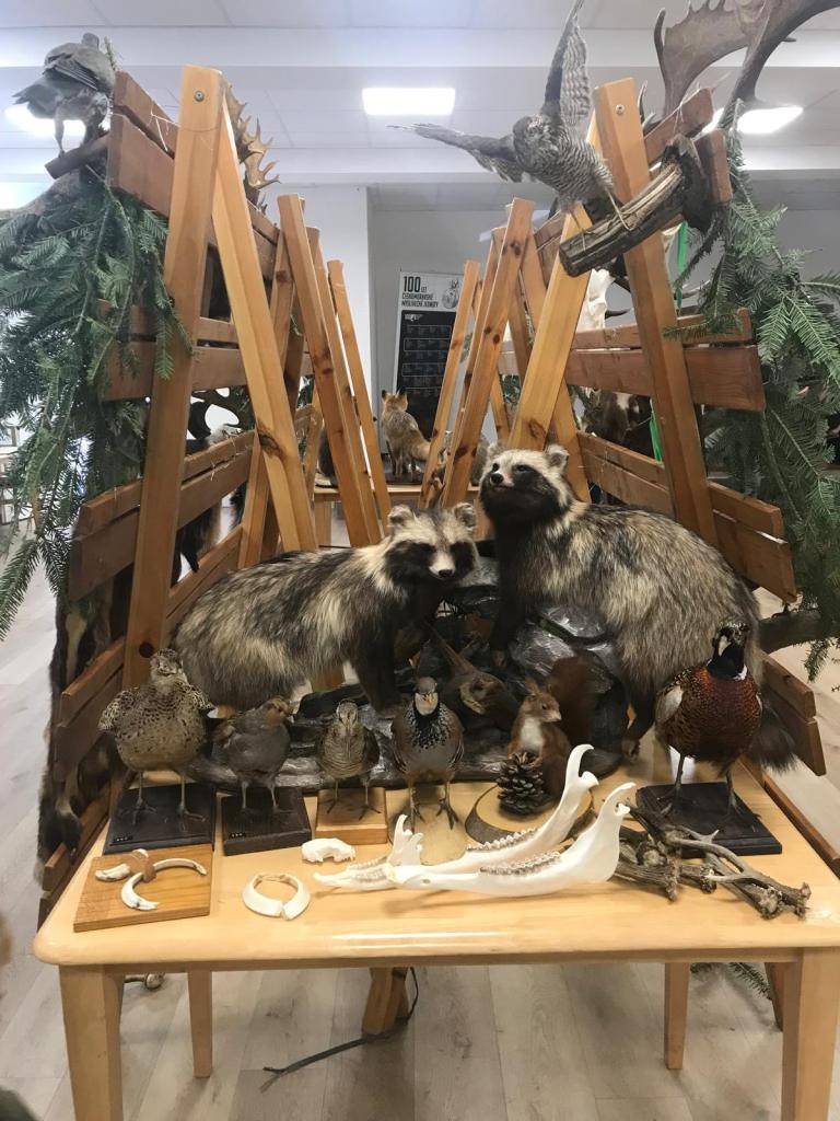 11. - 12.4.2025  Foto: MS KŘÍBY Bohuslavice-Březnice, z.s.