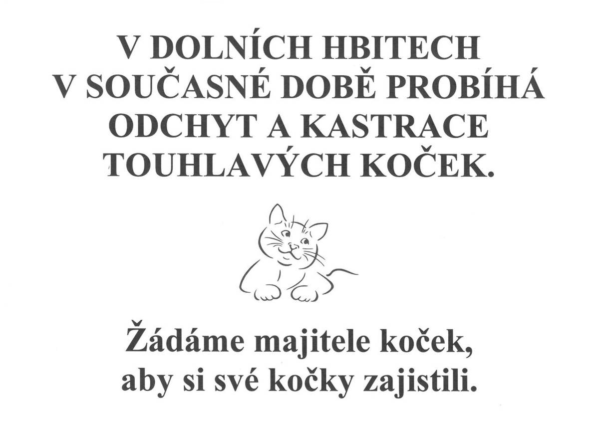 V Dolních Hbitech probíhá v současné době odchyt a kastrace toulavých koček