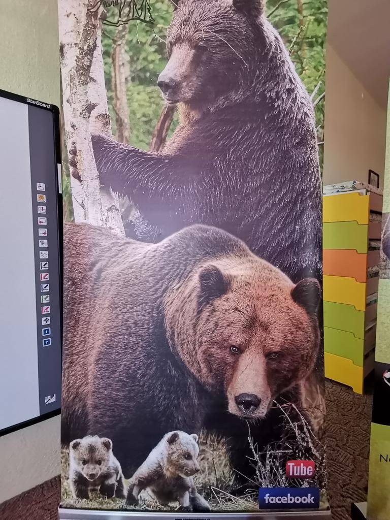 V materskej škole sme mali zaujímavú a poučnú besedu/ prezentáciu s pánom Tomášom Kučerom (KuUl), v ktorej sa deti dozvedeli množstvo zaujímavých informácií o lesných zvieratách.   Túto besedu pre MŠ zabezpečil pán Juraj Halahija ml., ktorému by sme sa chceli touto cestou poďakovať.