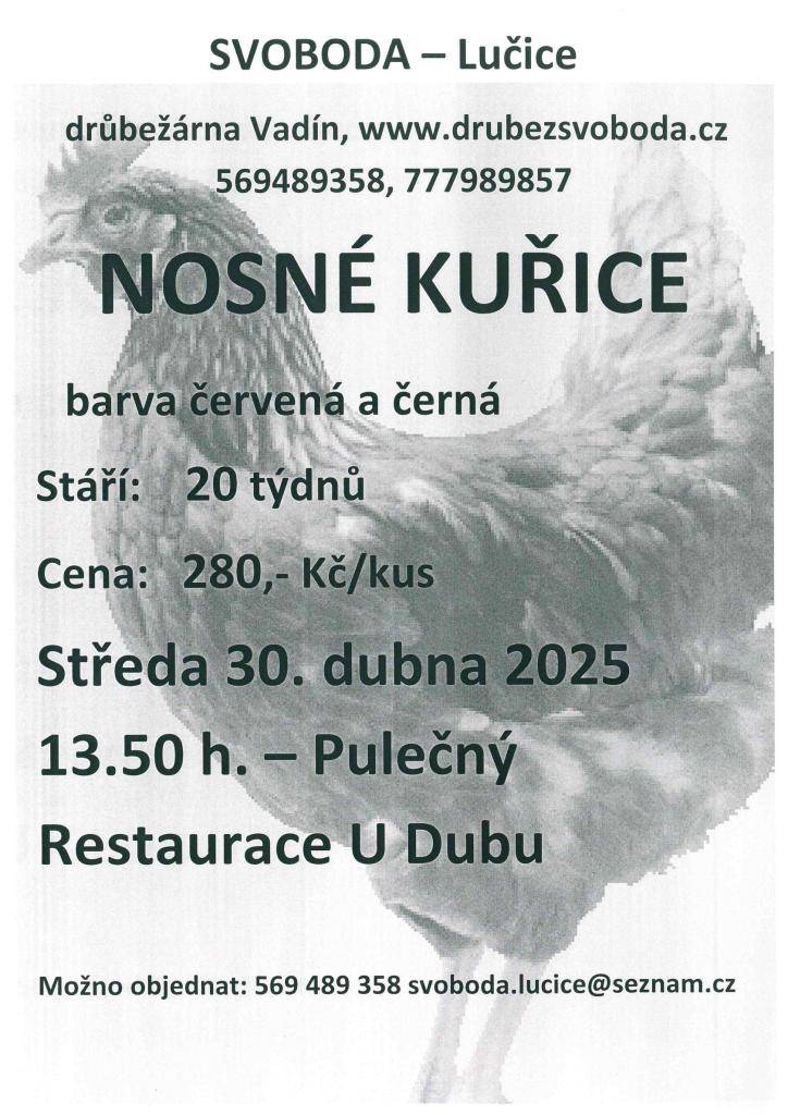 Firma Svoboda Lučice bude prodávat  ve středu 30. dubna 2025 v 13.50 hodin u restaurace U Dubu             nosné kuřice, stáří 20 týdnů, cena 280,- Kč/kus     Objednání je možné na  tel. 569 489 358 nebo emailem svoboda.lucice@seznam.cz