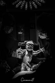 Další snímky, které porota vybrala mezi ty nejlepší, i když žádnou cenu přímo nezískaly