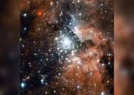 Hvězdná porodnice v regionu NGC 3603. V centru snímku je obří hvězdokupa velmi mladých hvězd. Ty v tomto místě začaly vznikat teprve před milionem let, což je z hlediska stáří vesmíru okamžik