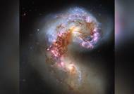 Galaxie Tykadla vzdálená necelých 70 milionů světelných let. Jde o dvojici galaxií, které právě prochází fází kolize. Kvůli tomu v nich dochází k prudkému období tvorby hvězd, způsobených srážkami mračen plynů a prachu