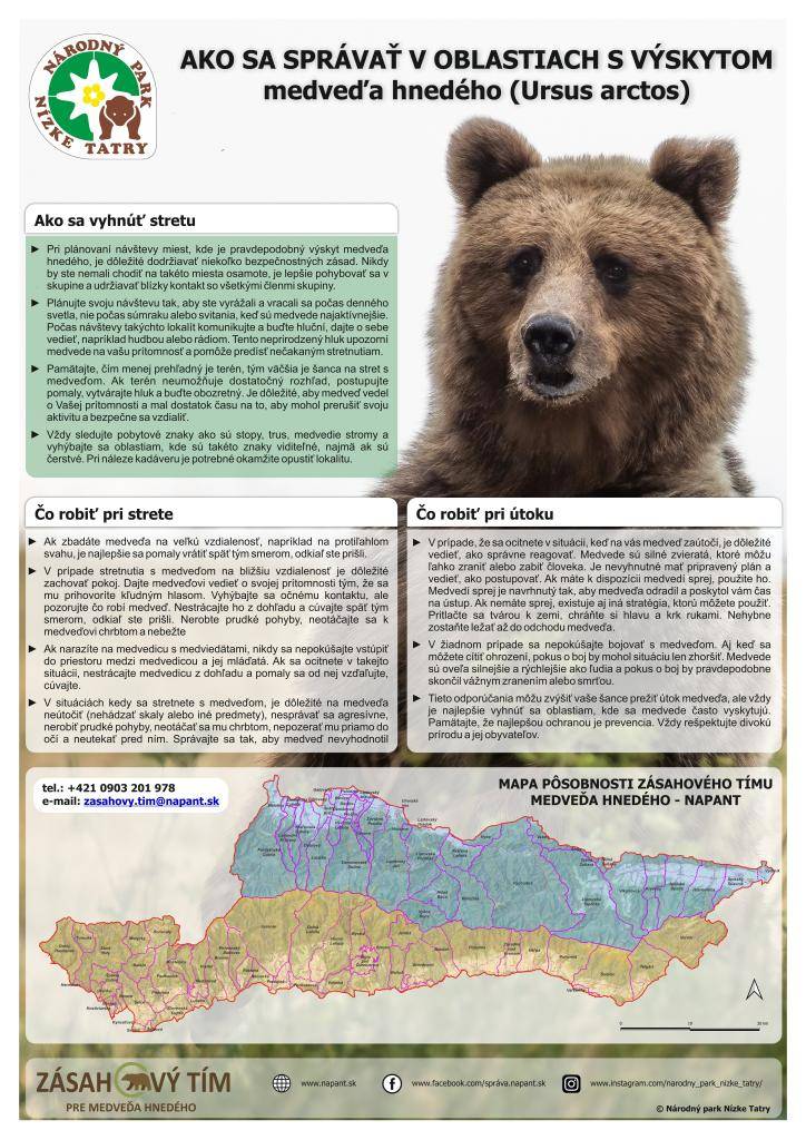 V článku sú uvedené dôležité tipy, ako sa správať v oblastiach s výskytom medveďa hnedého, vrátane prevencie stretov a reakcií pri stretnutí s týmto zvieraťom.