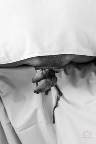 Nejlepší podle členů asociace - nejlepší záběr z porodu, zároveň třetí místo v laickém hlasování
Vanessa Amiot, Francie, Pretty Little Foot