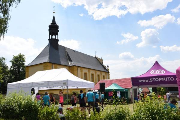 2018-06 Růžovský panter