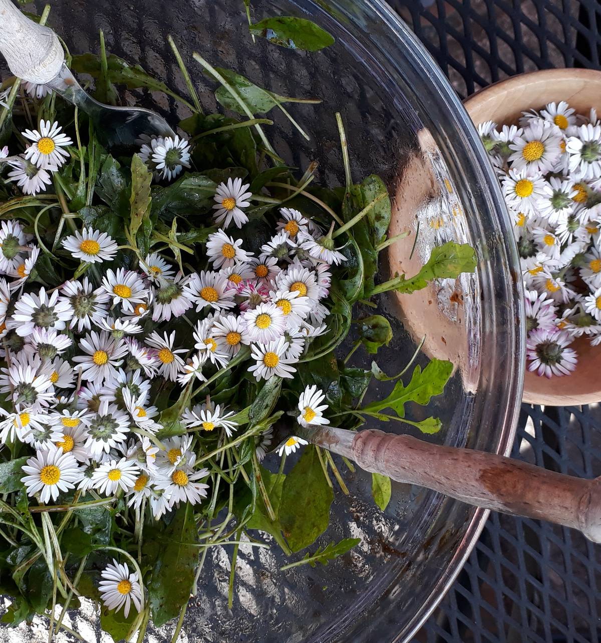 Zatím to tak vůbec nevypadá, ale tlak už zvolna stoupá. Zítra se zcela jistě vyčasí a čeká nás krásný jarní víkend a pak májové radovánky. Neseďte doma, všude se dějí skvělé věci, je z čeho vybírat: Sobota 26.4. nabízí - pěší výšlap SVATÝ JAN ZE VŠECH STRAN,  - tradiční BIKEMARATON BEROUN, - VÍTÁNÍ PTAČÍHO ZPĚVU s Františkem Pojerem, - jarní pouť ZA PERLAMI BEROUNKSA, BRD A PODBRDSKA a mnoho dalšího Neděle 27.4. - zoologická vycházka ZA OBOJŽIVELNÍKY A PLAZY s Jarodślavem Veselým a Hanou Hofmeisterovou Středa 30.4. od 17.30 h. - ČARODĚJNICE u dubu, - ohňům od 16 h.předchází setkání Záhrabáků ... Sobota 17.5. od 16 hod. - vernisáž vvýstavy obrazů a garfik EVY ČERNÉ SVATOJÁNSKÁ KOLEJ i v květnu pořádá  řadu zajímavách kurzů pro pedagogy i širší veřejnost Podrobnosti najdete na webech obc e Svatý Jan pod Skalou https://www.svatyjan.cz/ a DMO Berounsko https://www.berounsko.net/udalosti/   nebo v příloze této zprávy.