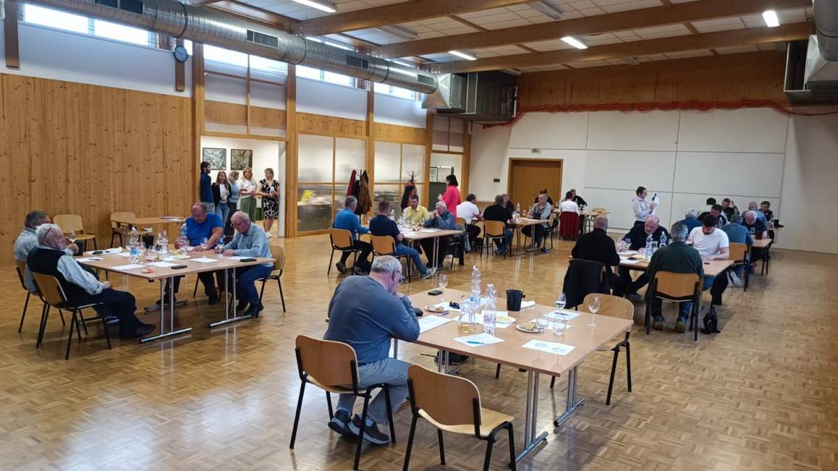 34. ročník Výstavy ví