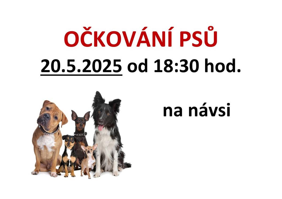Očkování psů