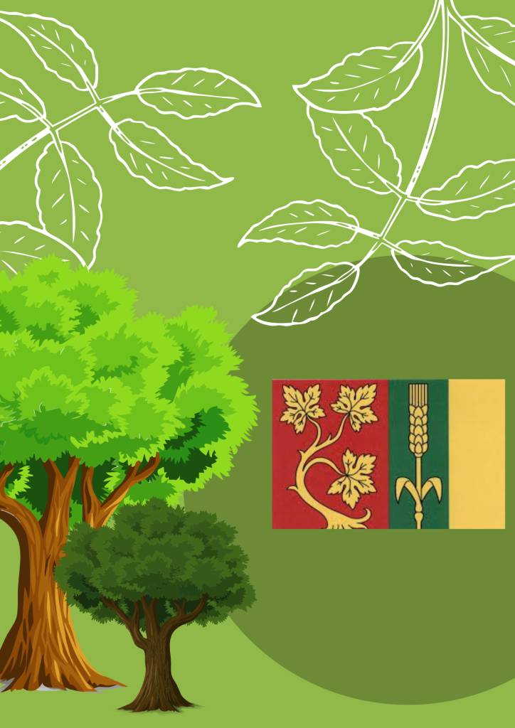 Na www.stránkách obce - ,,Obec,, byla nově přidána záložka - "Smolnice sází budoucnost", kde mohou občané sledovat výsadbu nových stromů.