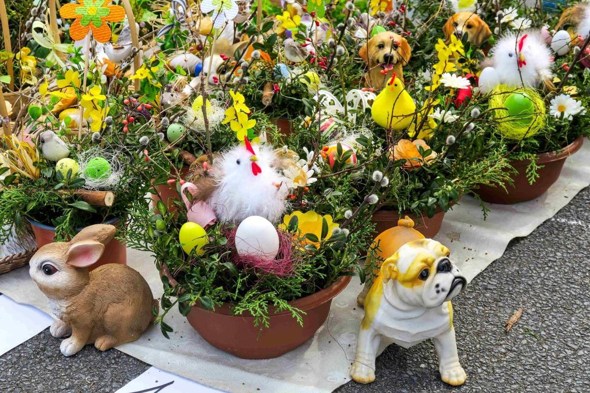 Autor fotografií: Ing. Václav Šaroch