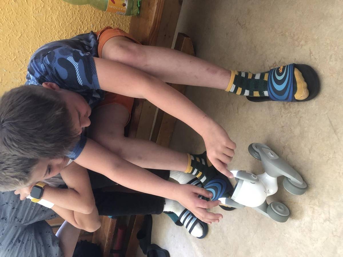 Projektové odpoledne s roboty