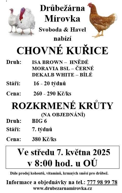 DRŮBEŽÁRNA MÍROVKA, Svoboda-Havel, prodává ve středu 7. května 2025 v 8:00 hod. u OÚ kuřice hnědé, černé a bílé -  stáří 16 - 20 týdnů, cena 260 - 290 Kč/ks. a krůty -7 týdnů, cena 380 Kč/ks. Objednání (doporučujeme) je možné na tel.: 777 98 99 78 nebo drubezarna.mirovka@seznam.cz