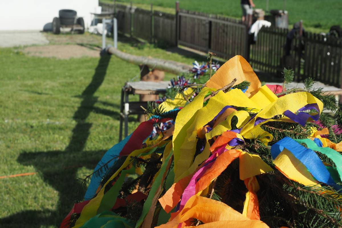 Letošní májka byla poprvé postavena v novém místě a novém sklopném držáku za budovou Obecního úřadu. Kromě špekáčků, které si každý přinesl, připravili hasiči výbornou pečenou krkovici na grilu, a tak zábava probíhala do pozdních večerních hodin.