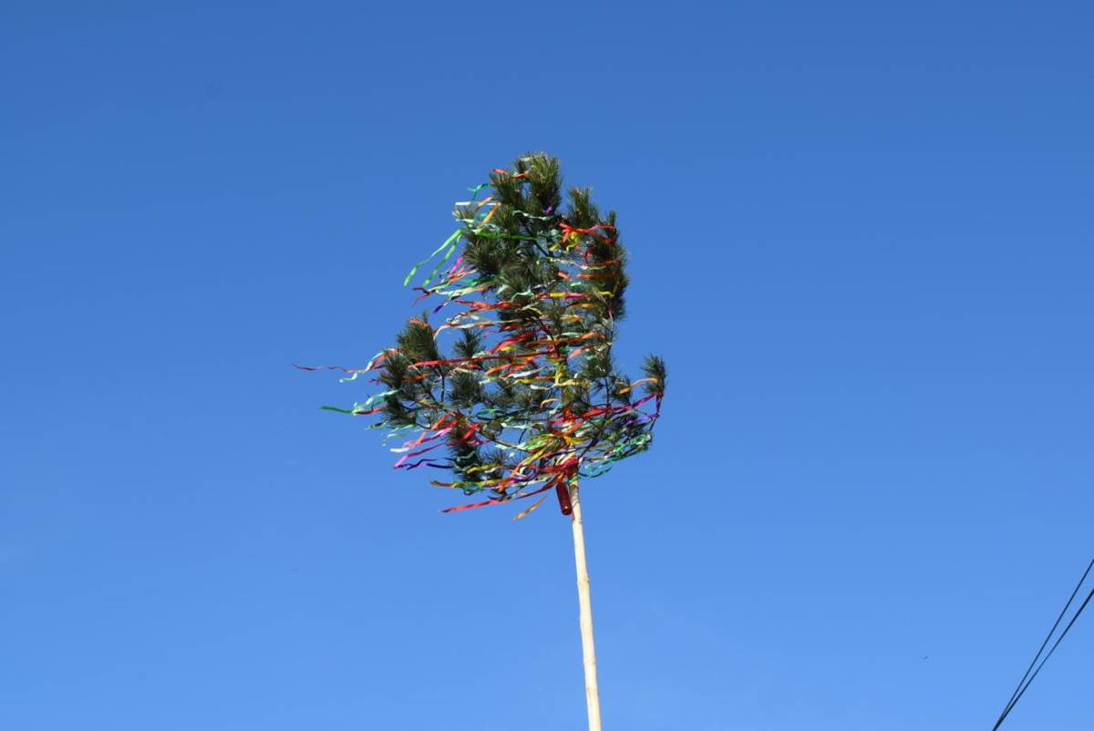 Srdečne Vás všetkých pozývame na stavanie mája, ktoré sa uskutoční v stredu 30. apríla o 17.30 hod pred Obecným úradom v Meleku. O občerstvenie je postarané...