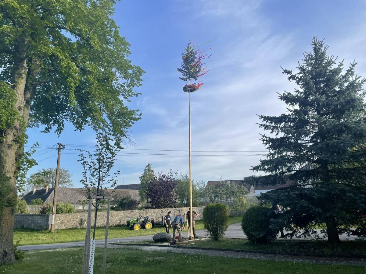 Program:  -----------------  16:00 odjezd do lesa pro májku a dříví od OÚ  17:00 - 19:00 strojení a vztyčení májky    Poté:  - sousedské posezení u altánu při dobrém pivku, buřtech,...  - sportovní aktivity na hřišti,  - symbolické pálení čarodějnice.    Srdečně zvou zastupitelstvo obce a hasiči