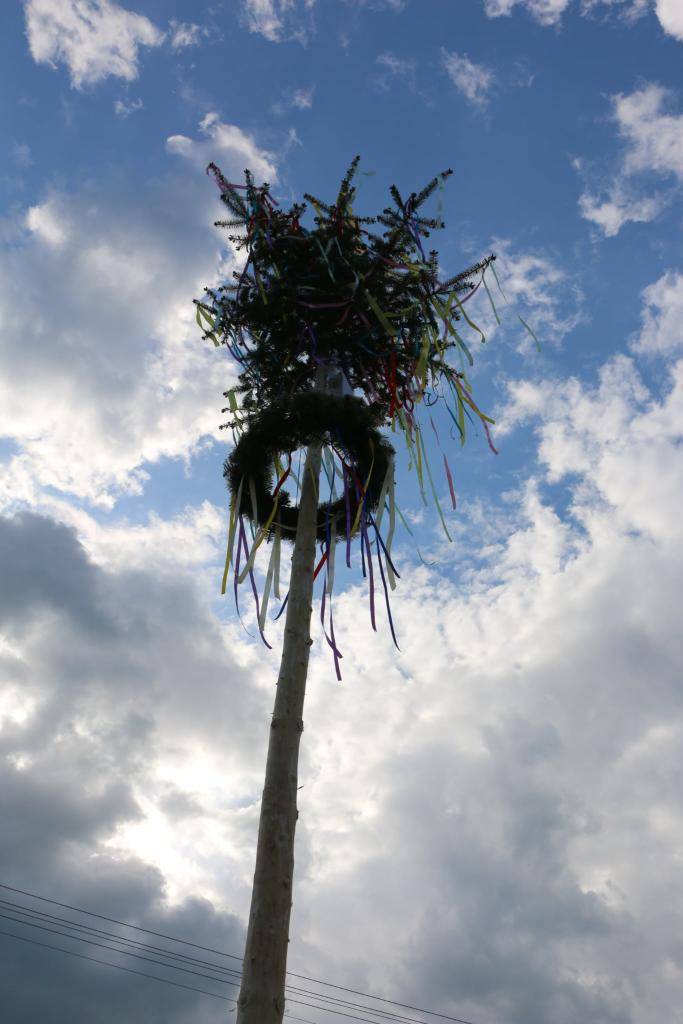 Tradične, aj tento rok sa v obci staval máj, ktorý bude celý mesiac zdobiť stred obce.