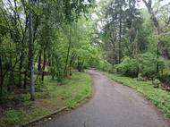 Lesní roklí prochází cesta.