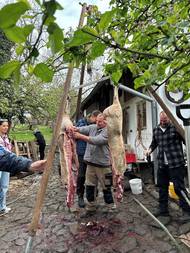 Následuje bourání půlek na menší kusy.