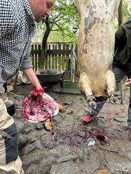 "Čistá práce" profesionála.