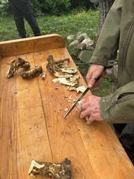 Jedna z nenahraditelných věcí ke guláši je křen, který má říz. Na obrázku je čerstvě vykopaný kořen ze sousedovic zahrádky.