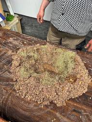 Vařené maso, obyčejně to méně ceněné, tedy tlustší a prorostlé, se namele a smíchá s kořením.