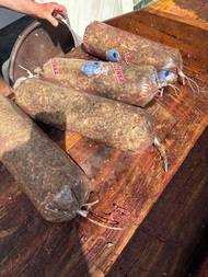 Z vařených kůží, vývaru a kusů masa a jater se plní tlačenky. Tento pohled většinou znamená konec hlavní pracovní doby a člověk si může jít umýt ruce. Tlačenky zůstanou v chladu do druhéh dne, kdy ztuhnou a jsou připraveny k jídlu.