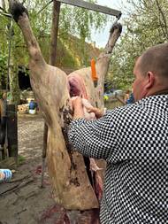 Sádlo se dělí na vnitřní a vnější. To vnitřní na obrázku je daleko jemnější a škvařit se má odděleně, aby se nepřipálilo - škvarky jsou z něj hotové mnohem dřív, než ze sádla hřbetního nebo z bůčku.