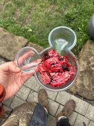 Důležitá část pro zahuštění pravého zabíjačkového guláše je mozeček.