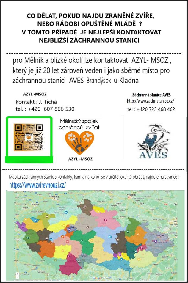 Záchranná stanice AVES Brandýsek u Kladna informuje, jak postupovat když najdu zraněné zvíře nebo opuštěné mládě.