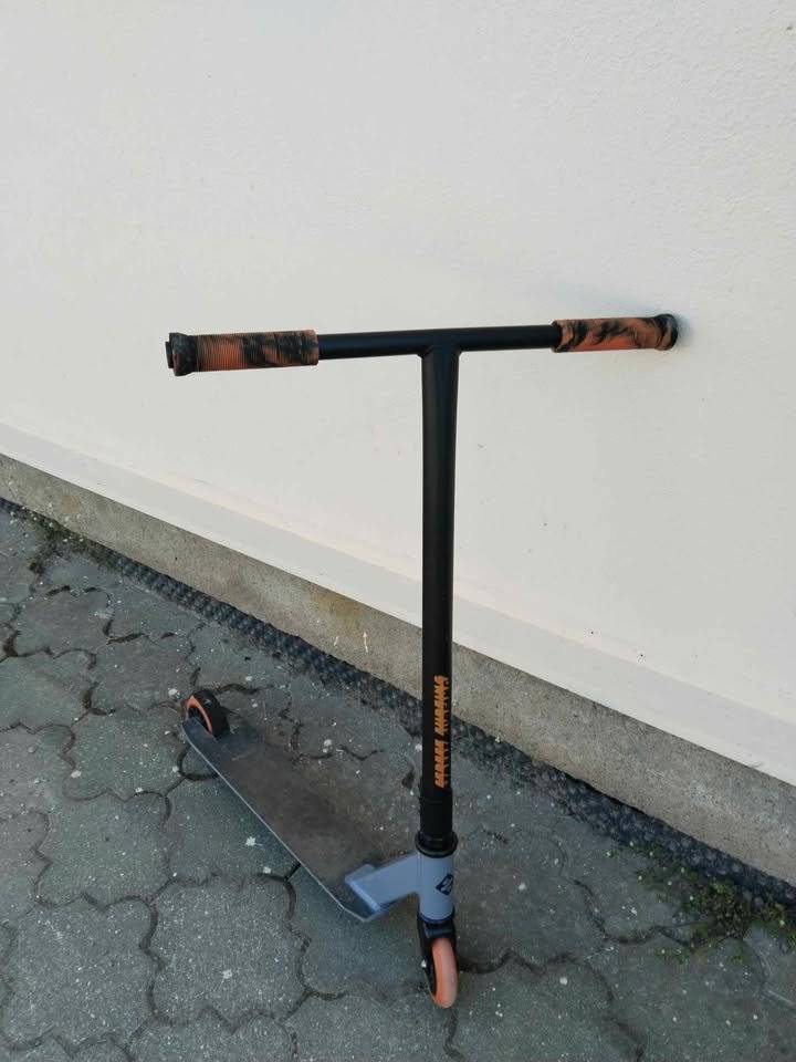 U Nadymače byla nalezena KOLOBĚŽKA - k vyzvednutí Horní Dubenky 80 tel: 734595831