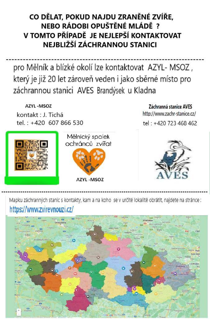 Co dělat, pokud najdu zraněné zvíře nebi rádobi opuštěné mládě? V tomto případě je nejlepší kontaktovat nejbližší záchrannou stanici