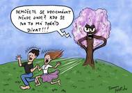 Nezapomněli jste se dnes políbit pod rozkvetlou třešní?