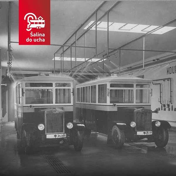 Dne 2. května 1930 vyjely v Brně první autobusy na pravidelnou linku z dnešního Moravského náměstí do Černých polí. Během téhož roku přibyly další trasy, například linky C do Tuřan, D do Komína a Bystrce nebo E do Maloměřic a Obřan. Do roku 1939 už bylo v provozu deset městských linek. Poslechněte si další zajímavosti z historie autobusové dopravy v dalším díle našeho podcastu Šalina do ucha! https://www.buzzsprout.com/1923506/episodes/17080998