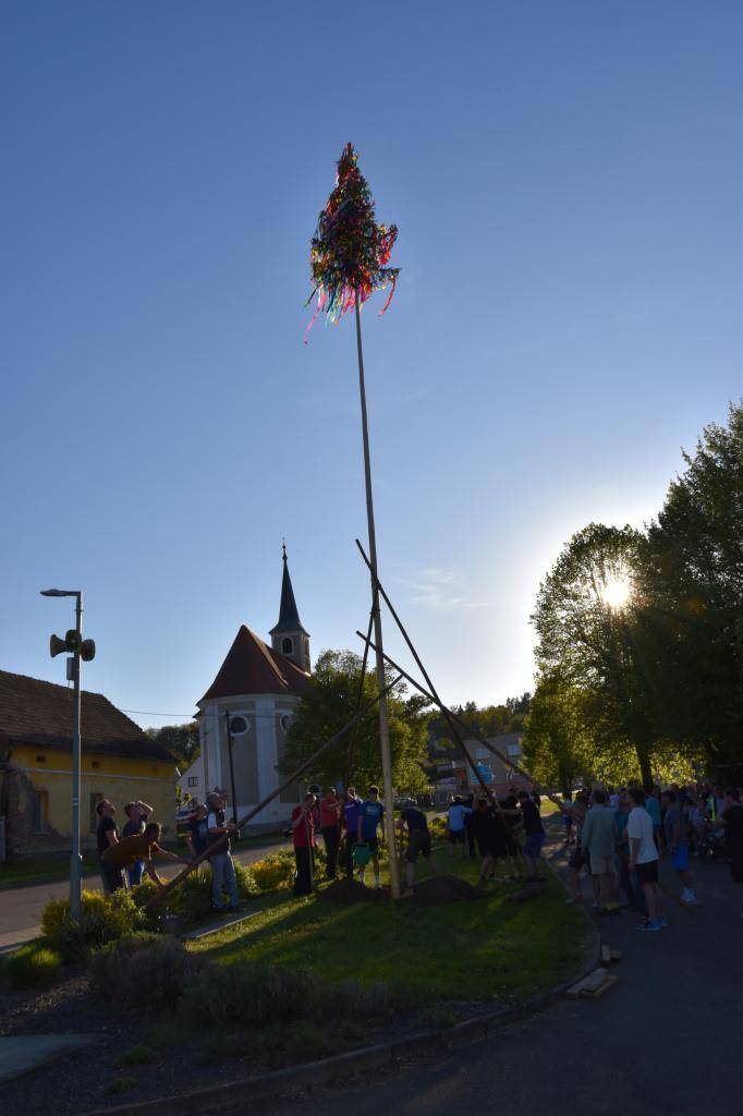 Stavění máje 30.4.2025 v Milavčích