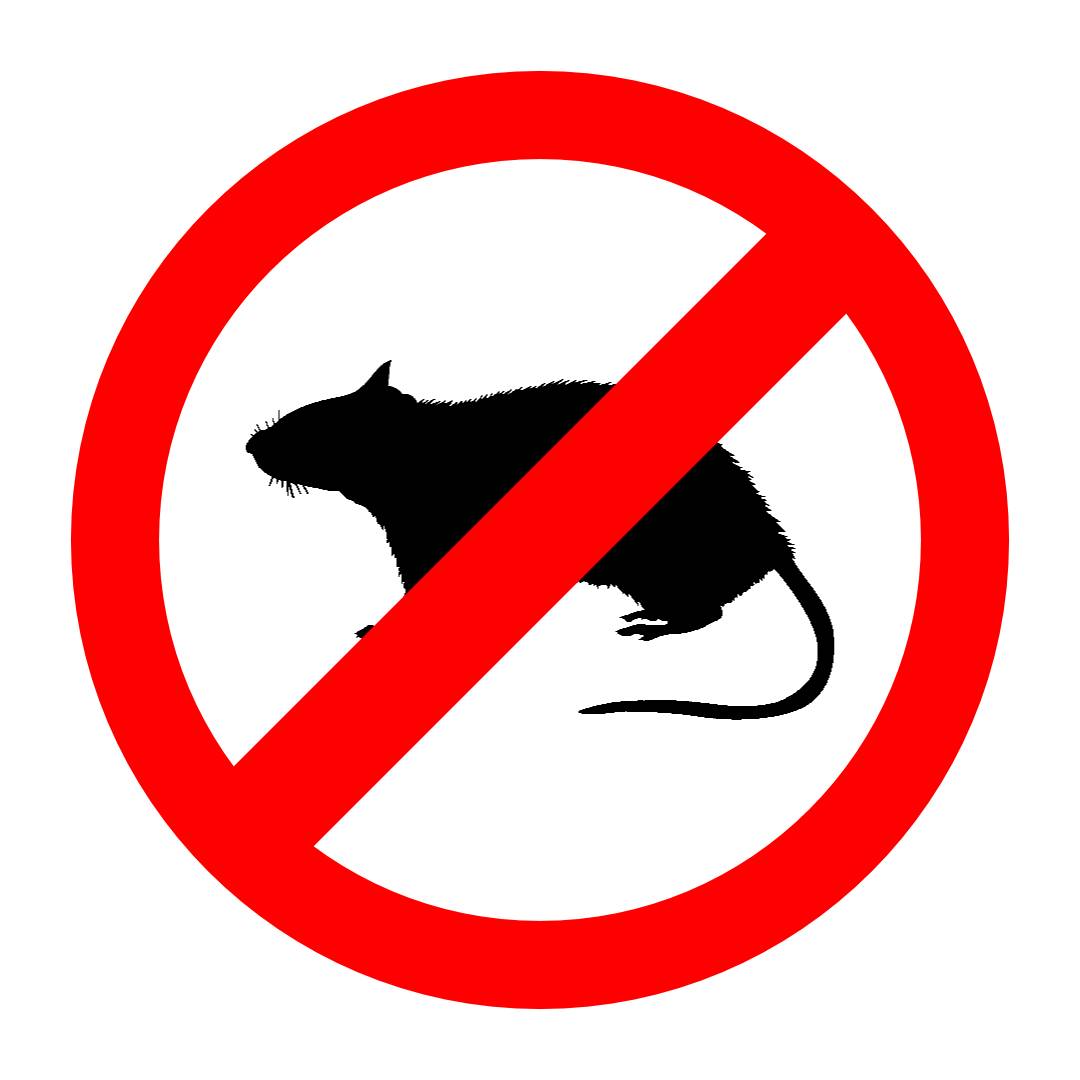 Úřad městské části, Brno-Starý Lískovec oznamuje, že proběhne částečná plošná deratizace veřejné zeleně (veřejného prostranství) Ulice Labská ke škole, Ulice Dunajská celá, Vnitroblok ul. Krymská 5–15 x ul. Kyjevská x ul. Irkutská, Ulice Irkutská 2–8, Ulice Bosonožská celá až po vícegenerační hřiště Bosonožská, Ulice Kurská kolem obchodního centra a kontejnerová stání.   Realizace díla v termínu od 12. 5. 2025 do 30. 6.2025 Deratizaci bude provádět specializovaná firma JAŠEK DERATIZACE s.r.o., Koperníkova 2409/3, 615 00 Brno. Aktivním prvkem moderních deratizačních přípravků jsou látky zamezující srážení krve. Dávka aktivní látky v nástraze zajišťuje požadovaný účinek na hlodavce, stejně tak její atraktivita je cílená na hlodavce. Obsah vysoce hořkých látek nástrahu činí nezajímavou pro necílové organismy. Při deratizaci budou nástrahy odpovídajícím způsobem zabezpečeny před pozřením necílovými organismy. Ošetřené plochy budou řádně označeny viditelnými cedulkami s výstrahou. Nástrahy budou pokládány do potkaních děr, v případě nutnosti užití nástrah na otevřených prostranstvích budou použita deratizační uzamykatelná krmítka. Po ukončení kladení nástrah bude firma provádět kontrolu, odklízení a likvidaci uhynulých hlodavců, budou pokládány dle potřeby další čerstvé nástrahy, případně při špatném přijímání nástrah hlodavci, bude druh nástrahy obměněn. Odklízení zbylých nástrah bude zahájeno v době, kdy v dané lokalitě nastane zřejmý úbytek až vymizení hlodavců. Zahájení a ukončení prací je ovlivněno vhodnými meteorologickými podmínkami. Žádáme občany, aby bedlivě sledovali své okolí, nástrah se nedotýkali a majitele a chovatele psů upozorňujeme, aby po stanovené období preventivně zajistili své mazlíčky vodítkem!!! Všeobecné zásady první pomoci:  Při hrozícím bezvědomí postiženého uložit a přepravovat ve stabilizované boční poloze. Znečištěný oděv okamžitě odstranit. Při nadýchání: Postiženého udržovat v klidu, přemístit na čerstvý vzduch. Při styku s kůží: Ihned důkladně omyjte mýdlem a vodou. Při kontaktu s očima: Důkladně propláchnout pod tekoucí vodou po dobu minimálně 15 minut při otevřených víčkách. Při požití: Okamžitě vypláchněte ústa a vypijte 200-300 ml vody.  !!! Poté ihned vyhledat lékařskou pomoc!!! ÚMČ Brno-Starý Lískovec, Odbor všeobecný