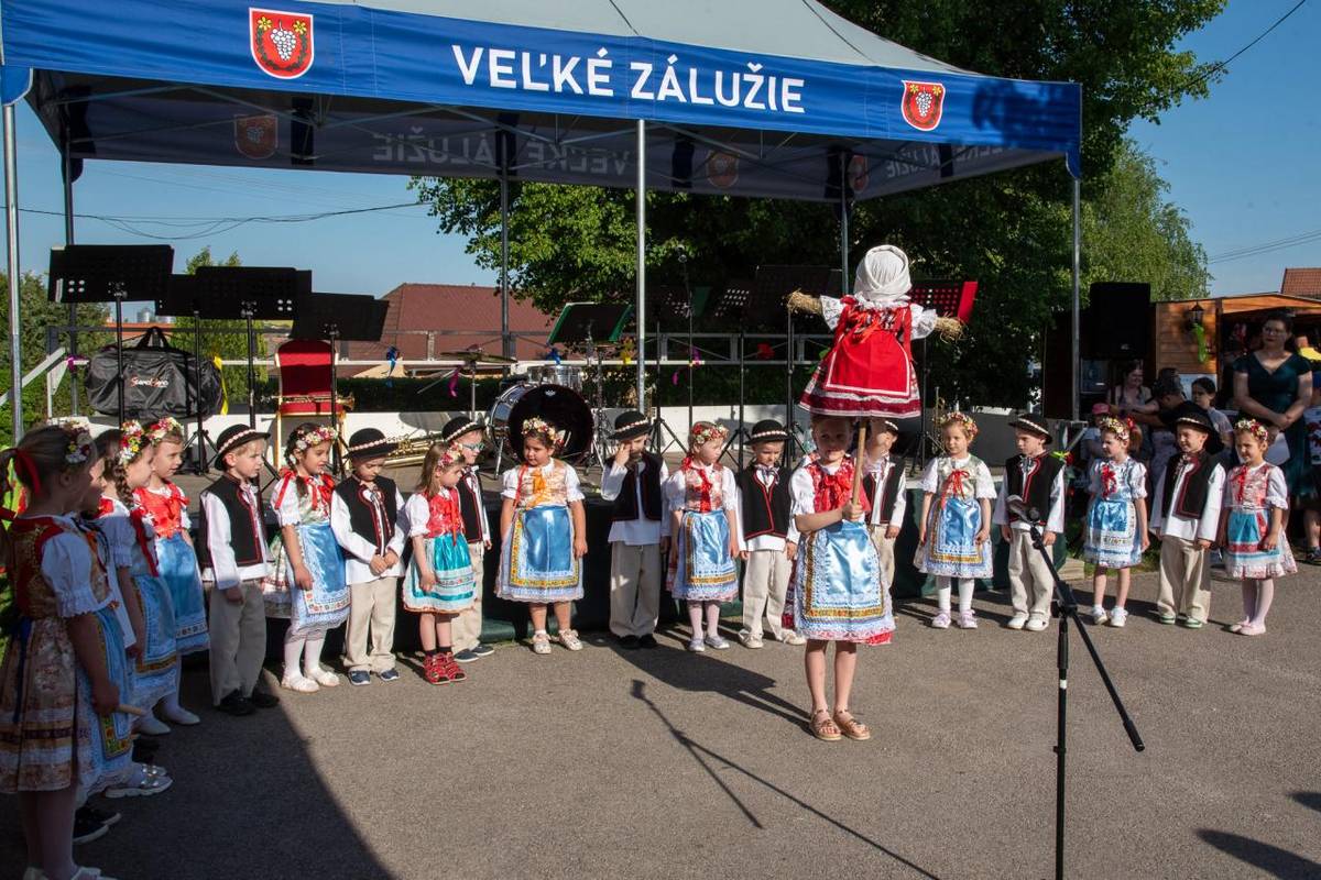 Dnes sa naša obec opäť žiarivo nesie v kráse mája  – symbolu mladosti, zdravia a tradícií. ĎAKUJEME našim najmenším z materskej školy, DFS Drienočka, FSk Drienka a DH Zálužanka za nádherné vystúpenia, ktoré spríjemnili tento slávnostný okamih.   FOTO: Ivan Bíro
