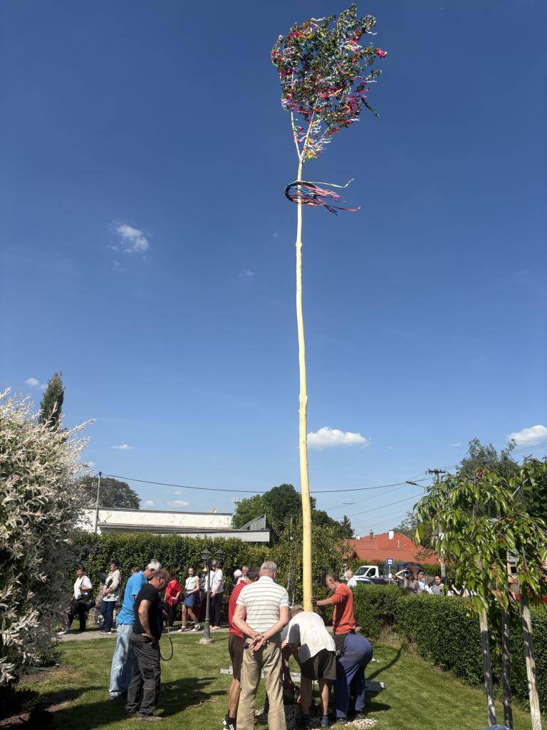 Symbolika stavania mája odkazuje na jar. Prebúdza sa príroda, rodí sa nový život. Je dlhoročnou tradíciou, že posledný aprílový deň sa aj v našej obci stavia máj.