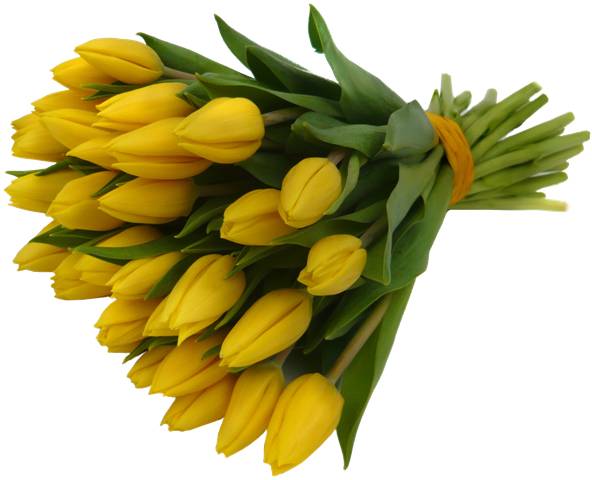 Květinářství v Krásném Poli oznamuje občanům, že prodejna bude, u příležitosti Dne matek, otevřena v sobotu 10.5. i v neděli 11.5.2025 v době od 9:00 do 14:00 hodin.